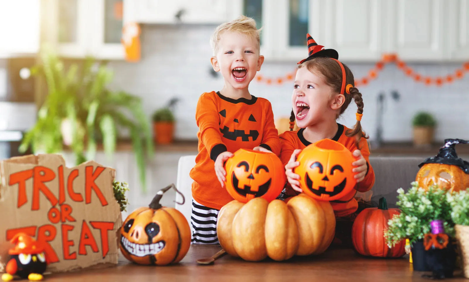 Creepy and Cute: Halloween Toys That Will Delight Your Little Ghouls