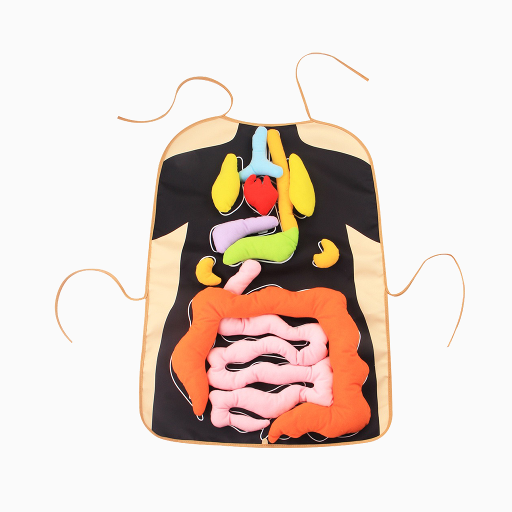 YOTOY Newborn Baby Toy - 3D Internal Organ Educational Toddler Teaching Apron for Early Learning