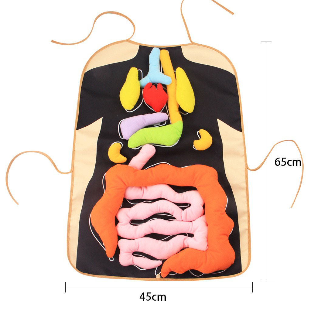 YOTOY Newborn Baby Toy - 3D Internal Organ Educational Toddler Teaching Apron for Early Learning